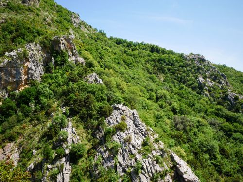 Free Vibrant springtime view of a rocky mountain covered with lush green trees and vegetation under a clear blue sky. Stock Photo