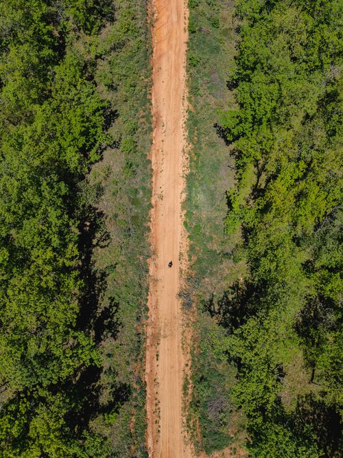Free Aerial shot of a dirt road cutting through a lush green forest in Greece, showcasing natural beauty. Stock Photo