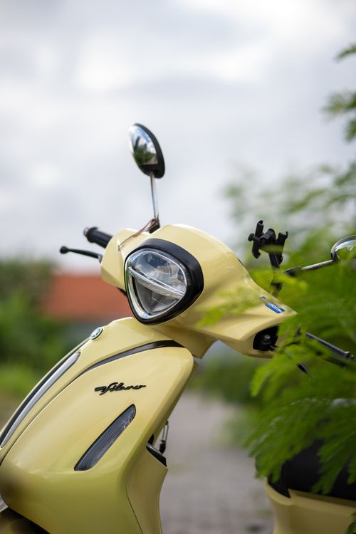 Free A vibrant yellow Vespa scooter parked outdoors surrounded by lush green foliage. Stock Photo