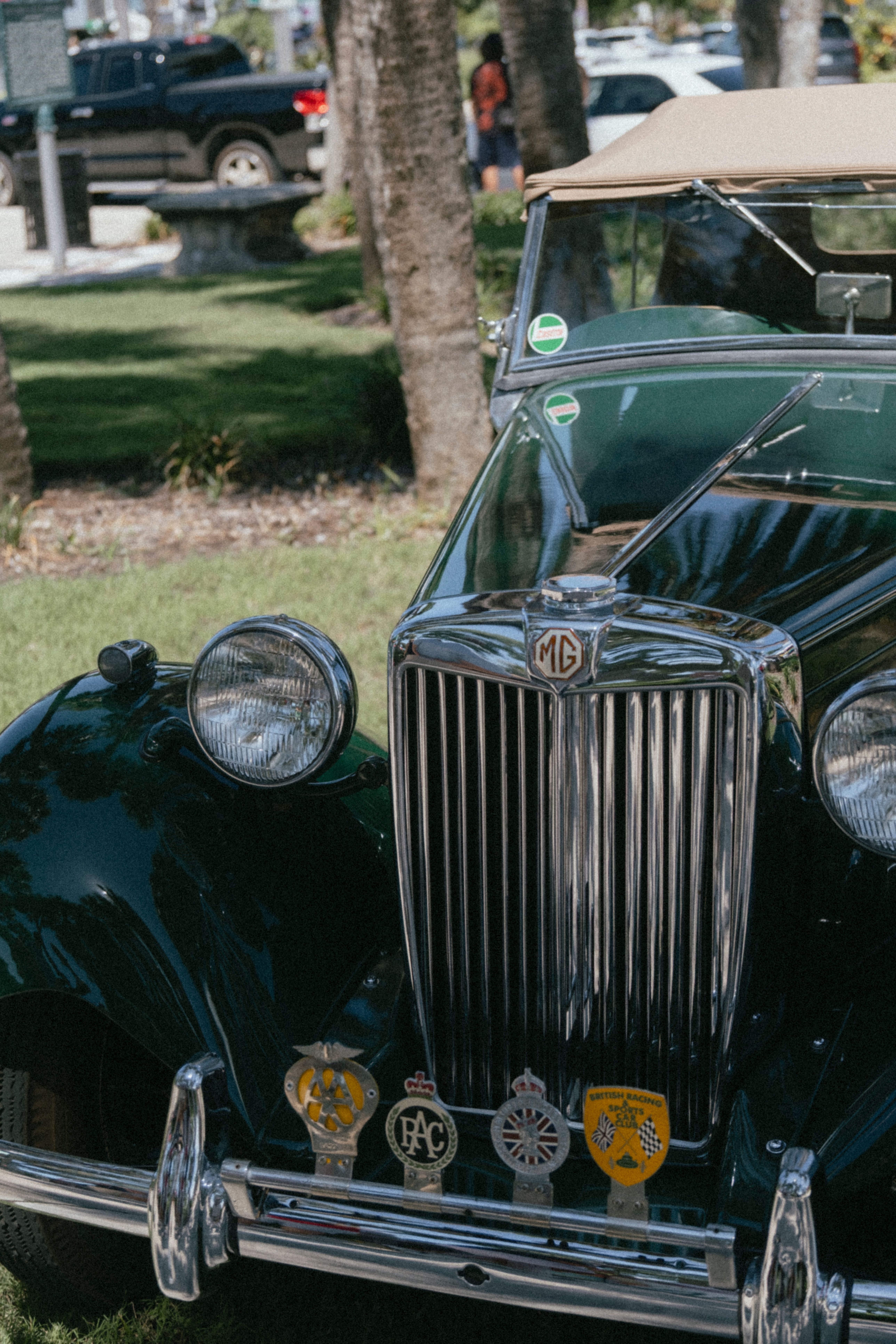 Close-up of classic MG car parked outdoors in a sunny park, showcasing vintage design and badges.