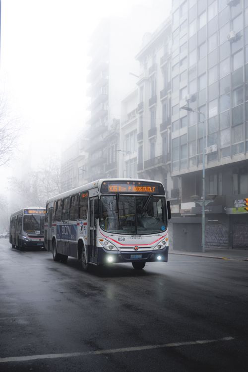 Free Public buses navigate through Montevideo's misty streets on a foggy winter morning. Stock Photo