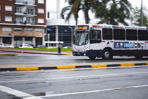 Free A public transportation bus drives through the city streets of Montevideo, Uruguay. Stock Photo
