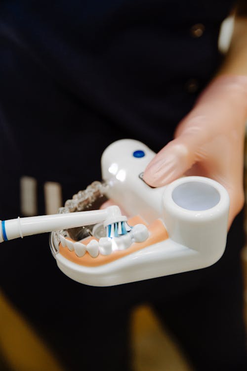 Crop unrecognizable woman wearing uniform in latex gloves using electric brush to apply toothpaste on jaw mockup for everyday teeth treatment procedure