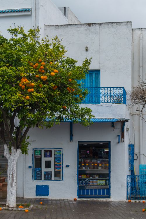 Free A vivid market scene in Tunisia, featuring a white building with blue accents and an orange tree. Stock Photo