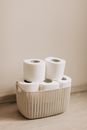 White Tissue Rolls on Basket