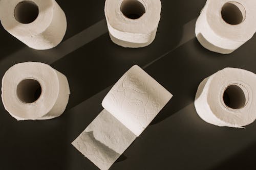 Free Toilet Paper Rolls on the Floor Stock Photo