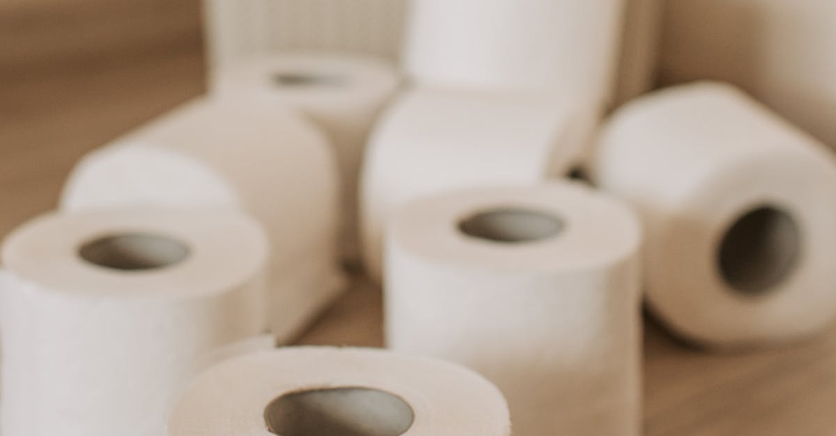 How to treat your dog's eye infection at home