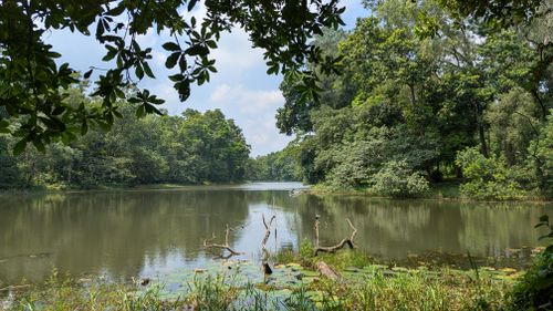 Free Peaceful lake scene with trees and water reflections under a clear sky. Stock Photo