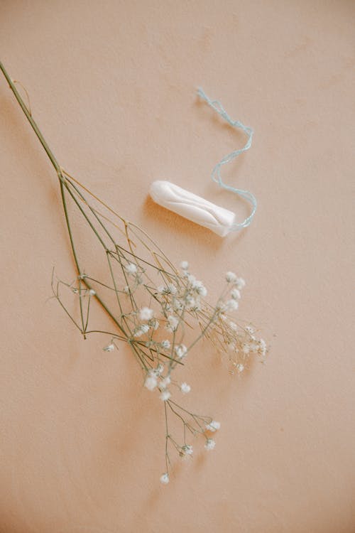Still Life of Tampon and Flower