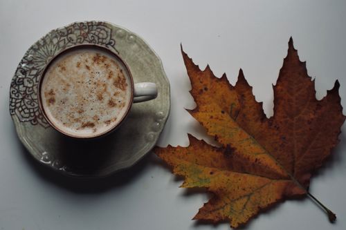 Free Cozy autumn scene with a cappuccino and a fall maple leaf captured from above. Stock Photo