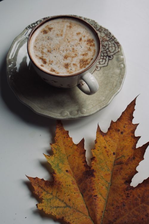 Free Warm latte with spiced foam on a decorative plate beside an autumn maple leaf. Stock Photo