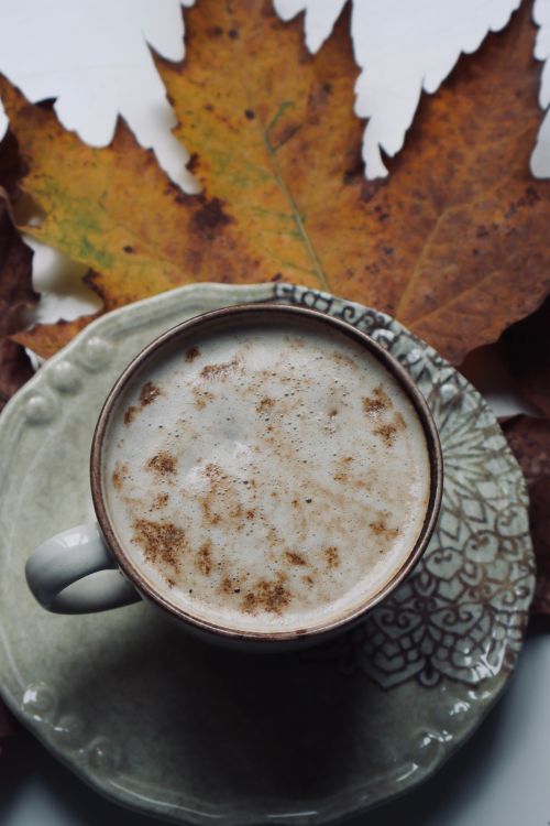 Free Top view of a frothy coffee with autumn leaves and cinnamon sprinkle. Stock Photo