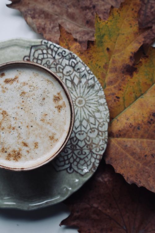 Free A cozy coffee cup on a patterned saucer surrounded by autumn leaves, perfect for a fall theme. Stock Photo