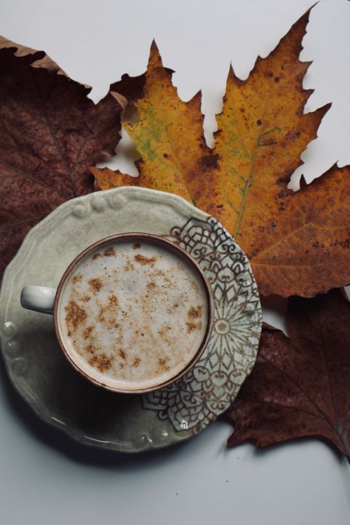 Free Warm coffee with cinnamon in a decorative cup surrounded by autumn leaves. Stock Photo