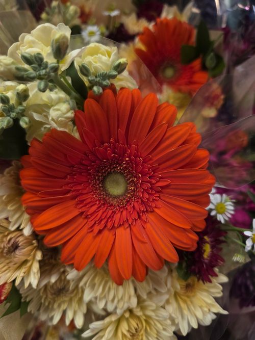 Free Close-up of a colorful bouquet featuring a bright orange gerbera daisy among mixed flowers. Perfect for floral themes. Stock Photo