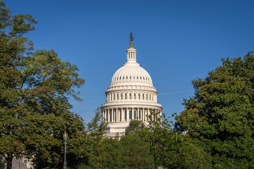 Free A stunning day view of the US Capitol Building framed by lush trees under a clear blue sky. Stock Photo