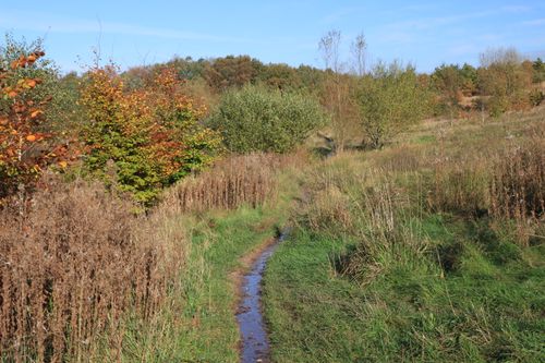 Free A peaceful pathway through the autumn foliage in the English countryside. Stock Photo
