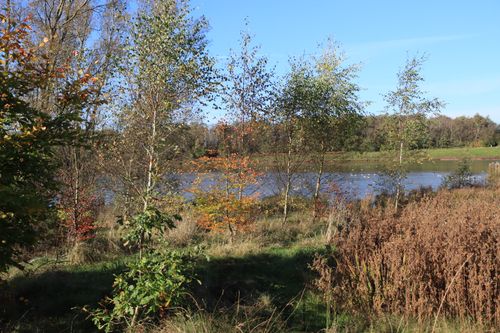 Free Serene autumn landscape featuring a tranquil lake surrounded by trees and clear blue sky. Stock Photo