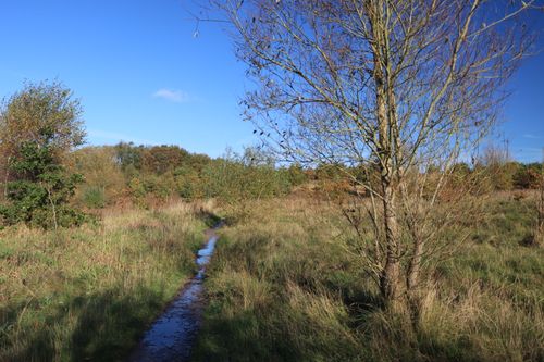 Free Peaceful autumn landscape with a path through grassy fields in England. Stock Photo