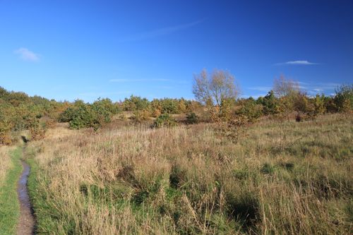 Free Peaceful landscape of an English countryside meadow with autumn colors under a clear blue sky. Stock Photo