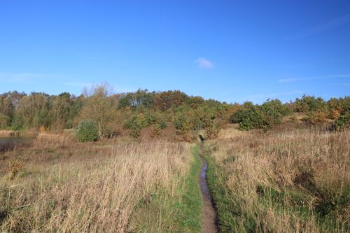 Free A tranquil hiking trail through the English countryside in autumn under a bright blue sky. Stock Photo