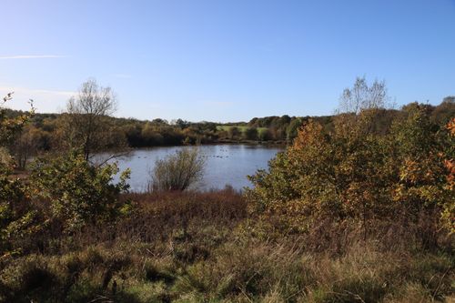 Free Scenic view of a serene lake surrounded by vibrant autumn foliage in England. Stock Photo