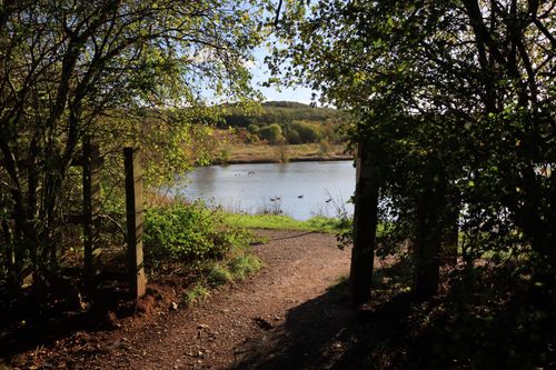 Free A tranquil path leads through trees to a peaceful lake under a clear sky in England. Stock Photo