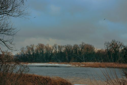 Free Winter scene with a calm river and bare trees under cloudy sky. Stock Photo