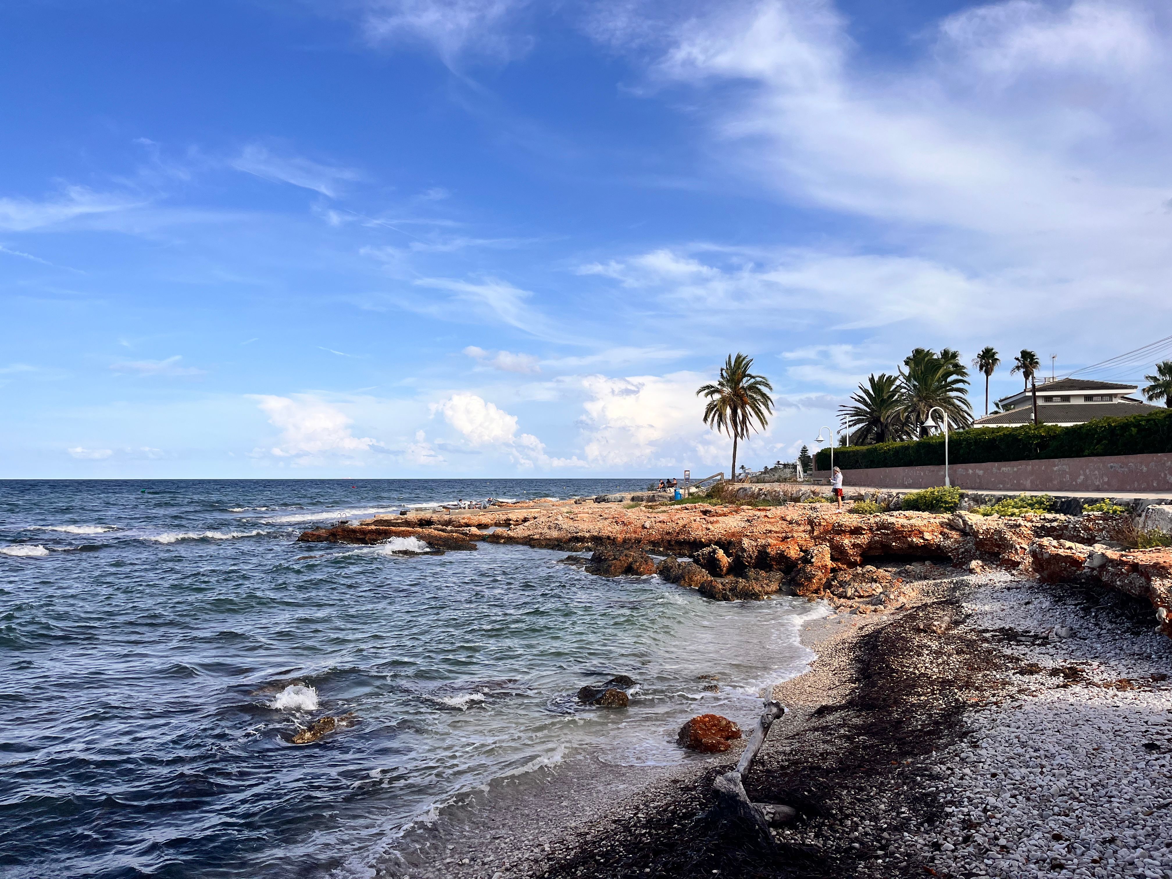 Explore the rocky shoreline and palm trees along the Mediterranean coast in Dénia, Spain, under a clear blue sky.
