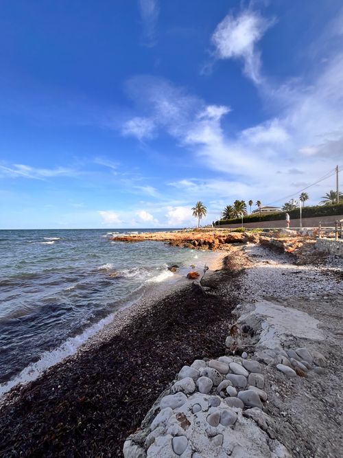 Free Breathtaking coastal vista of Dénia, Spain, with clear blue skies and palm-lined shore. Stock Photo