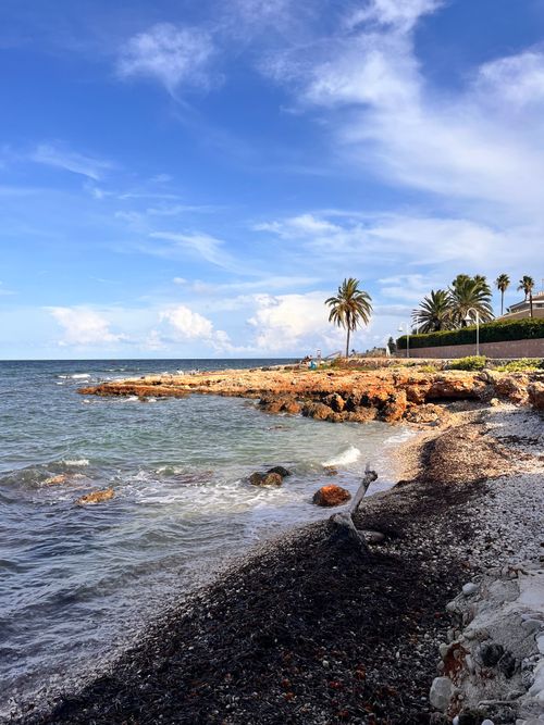 Free Beautiful rocky coastline with palm trees in Dénia, Spain under a clear blue sky. Stock Photo