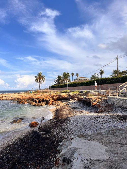 Free Beautiful coastal scene in Dénia, Spain with palm trees and rocky shore. Stock Photo