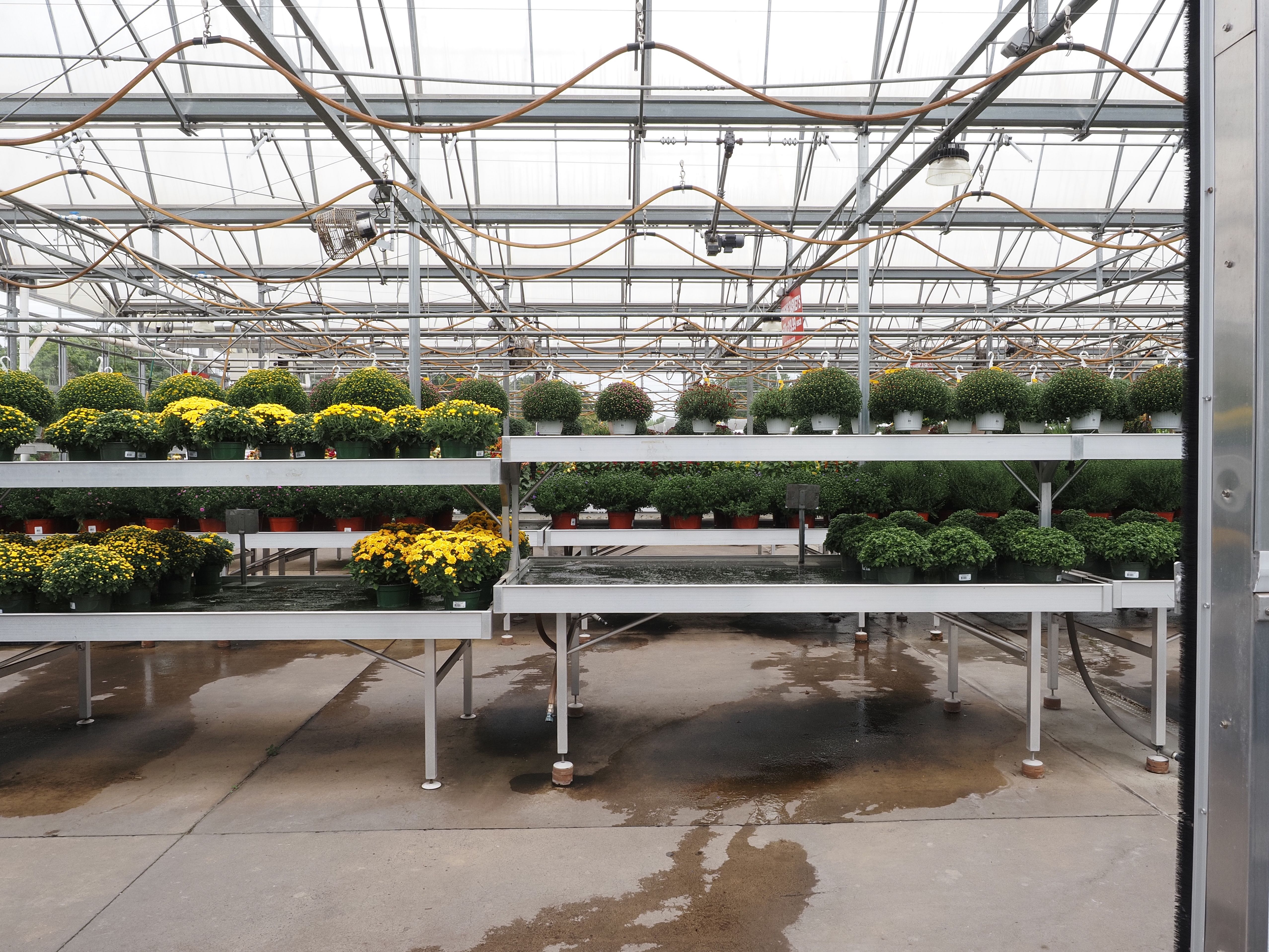 commercial plant design for retail spaces austin