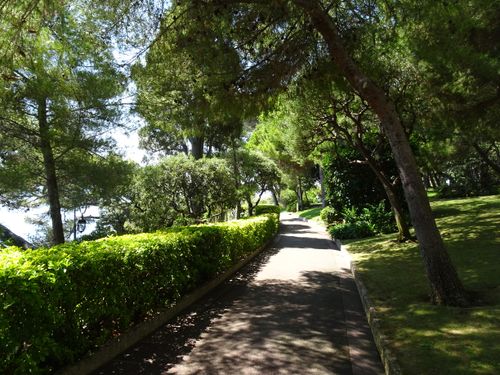 Free A serene path through lush greenery on a sunny day in Monaco park, perfect for travel and relaxation. Stock Photo