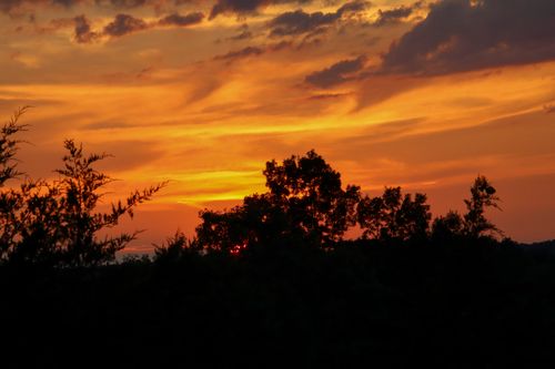Free A captivating sunset with dramatic orange hues silhouetting trees. Stock Photo