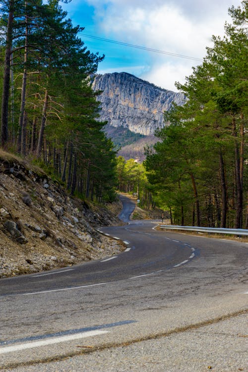 Foto profissional grátis de árvores, campo, estrada