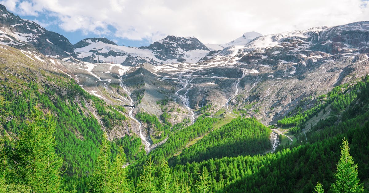 Top 10 des Destinations pour un Séjour Sauvage en Europe