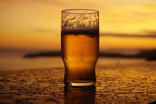 Foto profissional grátis de bebidas, cerveja, lindo pôr do sol
