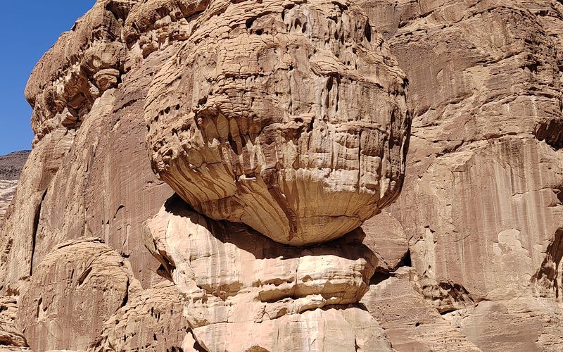 Winter Activities in Saudi Arabia: The Peak Season Guide