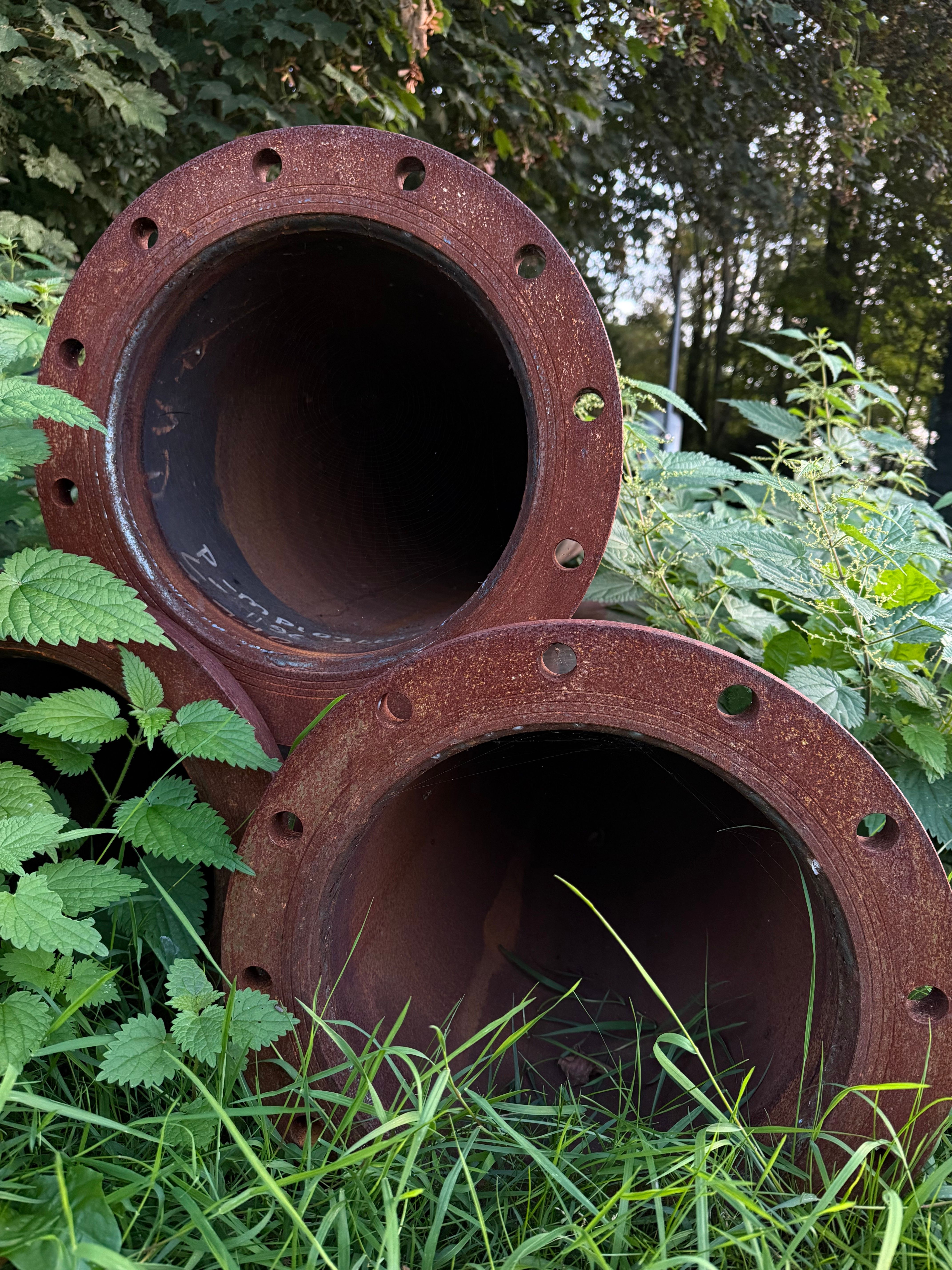 Three rusty pipes surrounded by green plants outdoors