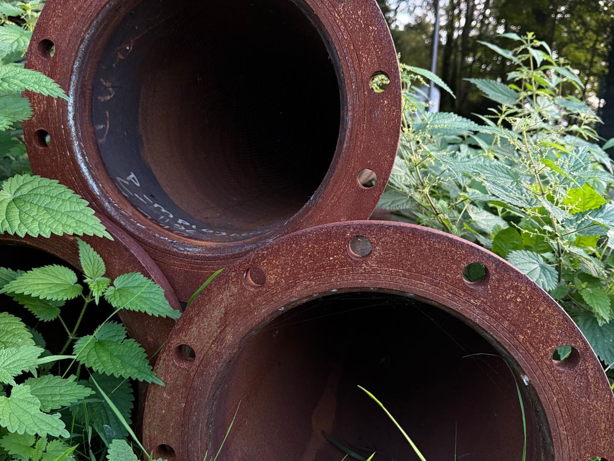 Three rusty pipes surrounded by green plants outdoors
