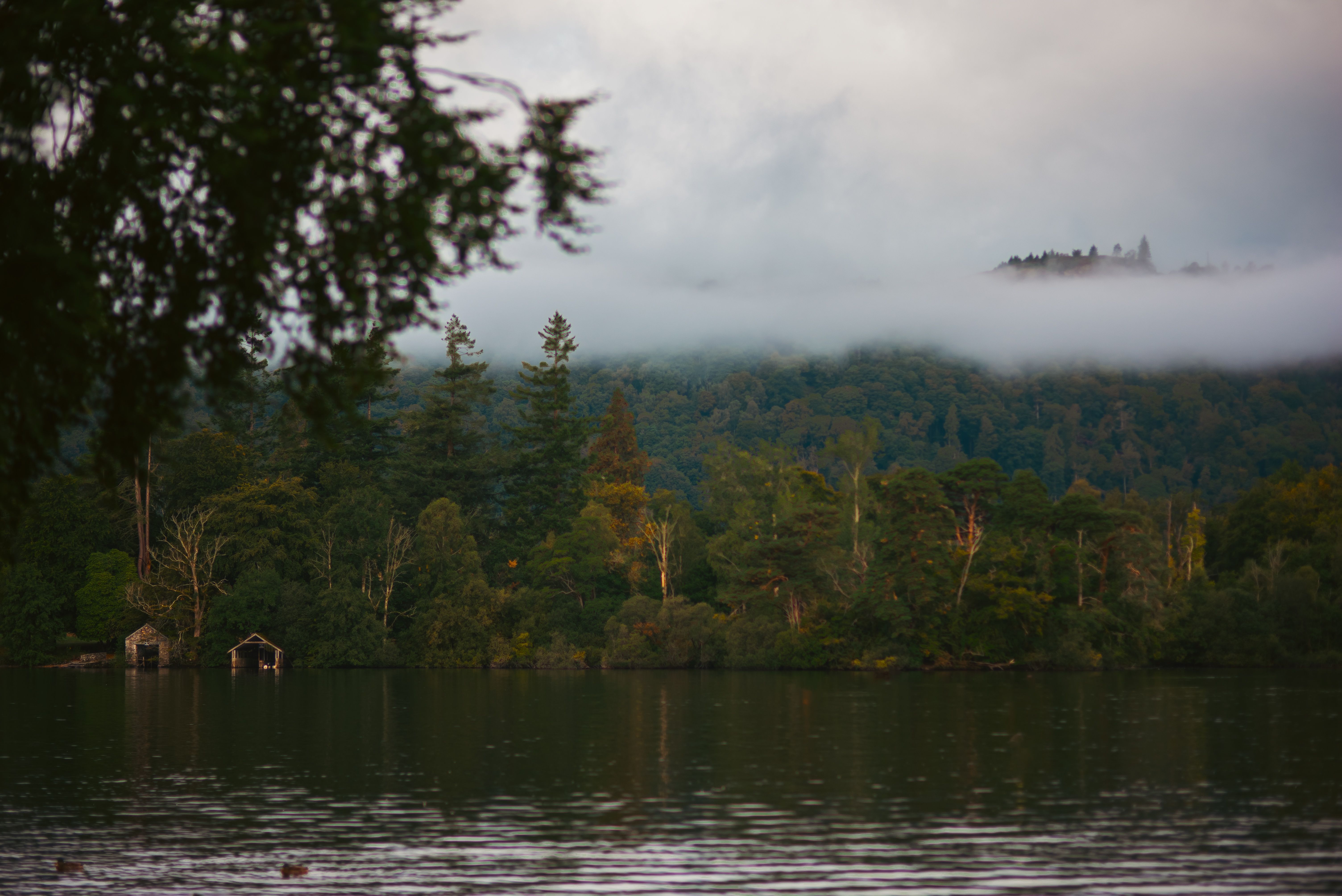 Will 'A Discovery of Witches' Return for a Season 4? — Photo by Zoe Jackson on Pexels