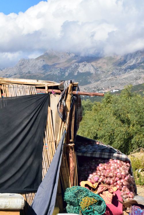 Free Bamboo shelter with harvested onions in mountainous rural landscape. Stock Photo