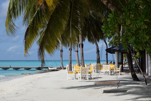 Free Serene tropical beach scene with palm trees, white sand, and outdoor seating under the sun. Stock Photo
