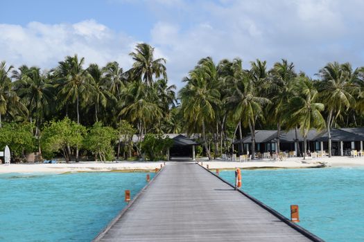 Serene tropical beach view with palm trees, clear blue water, and a wooden dock leading to a resort.