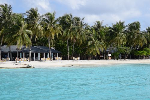 Free Idyllic tropical resort with palm trees on a sandy beach by clear turquoise waters. Stock Photo