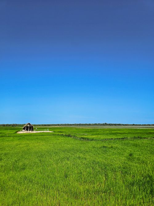 Free A picturesque green field with a rustic hut under a vibrant blue sky, evoking tranquility and simple rural life. Stock Photo