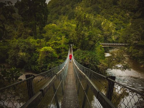 Free A serene view of a suspension bridge amidst a dense forest in Upper Hutt, New Zealand. Stock Photo