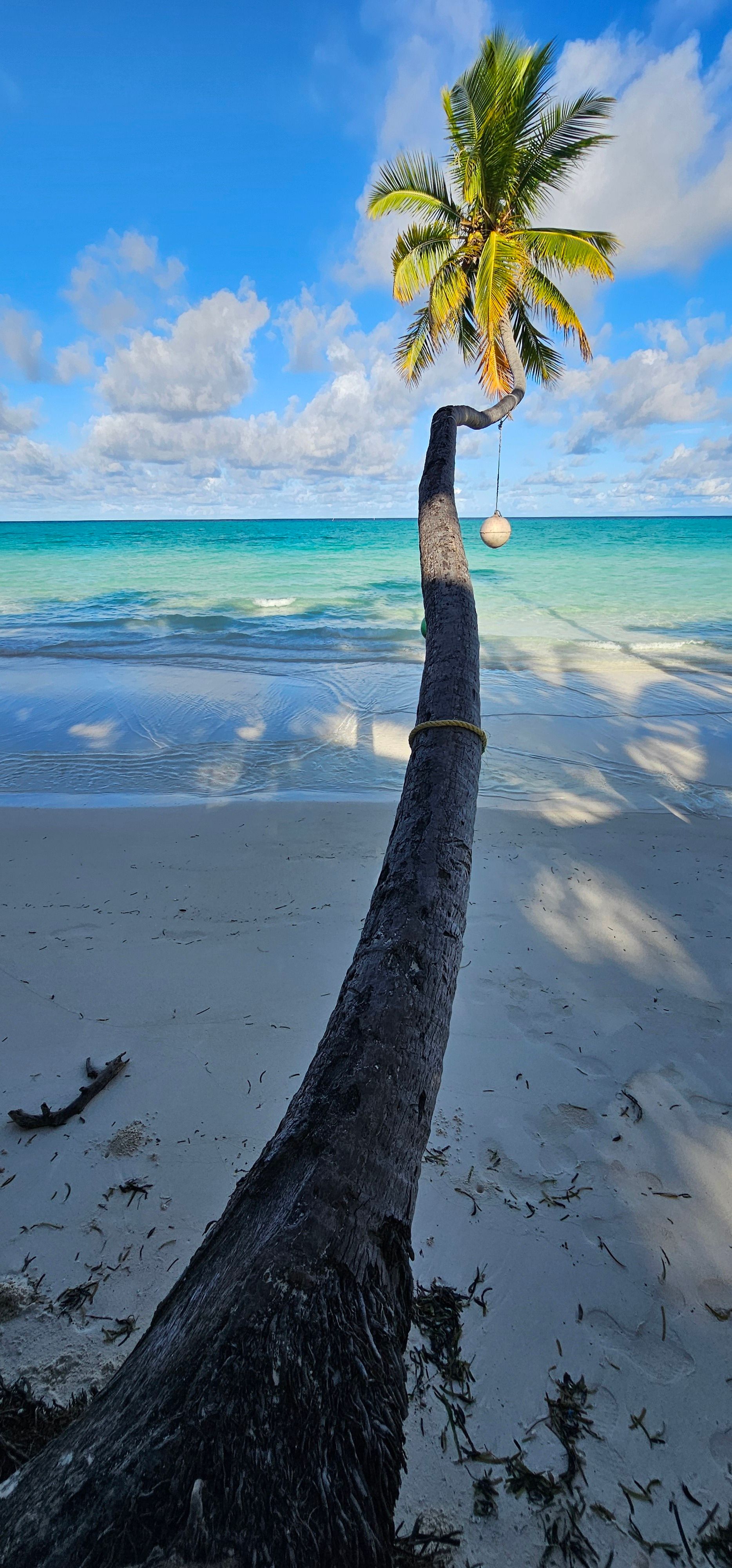 Cómo diversificar la economía de las Bahamas para enfrentar crisis turísticas recurrentes