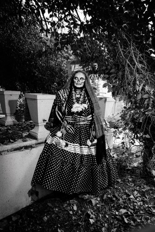 Free Black and white photo of a Dia de los Muertos skeleton costume with traditional Mexican attire. Stock Photo